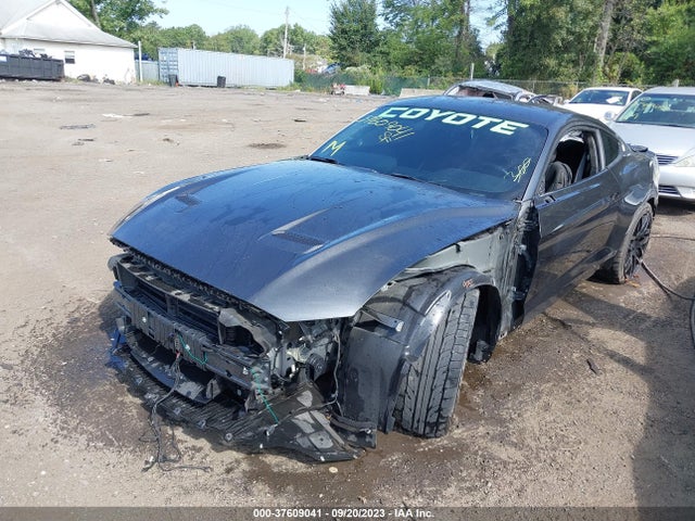 Ford MUSTANG GT 2019 1FA6P8CF0K5194156 Image 2