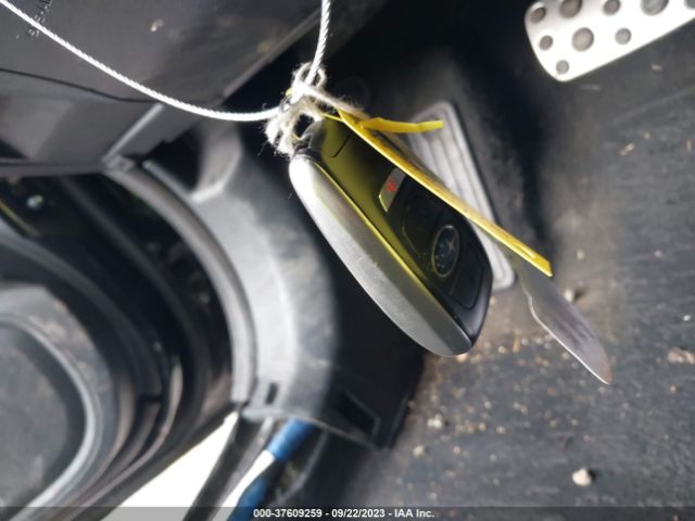 4S4BTGUD2N3159710 Subaru Outback Wilderness