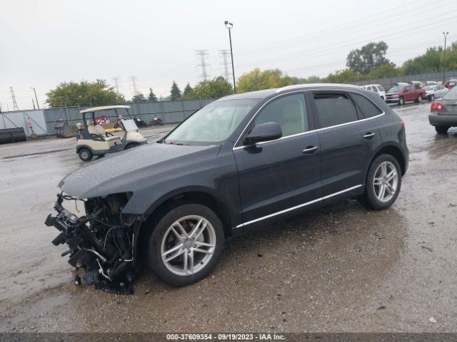 WA1LFAFP7FA116783 Audi Q5 Premium Plus