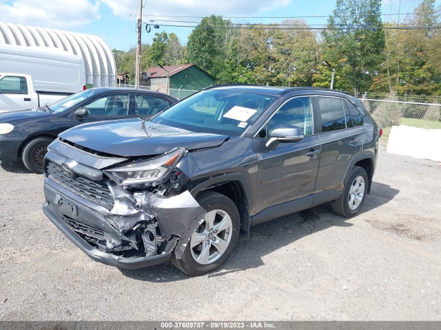 Toyota Rav4 Xle 2019 2T3P1RFV0KW051774 Image 2