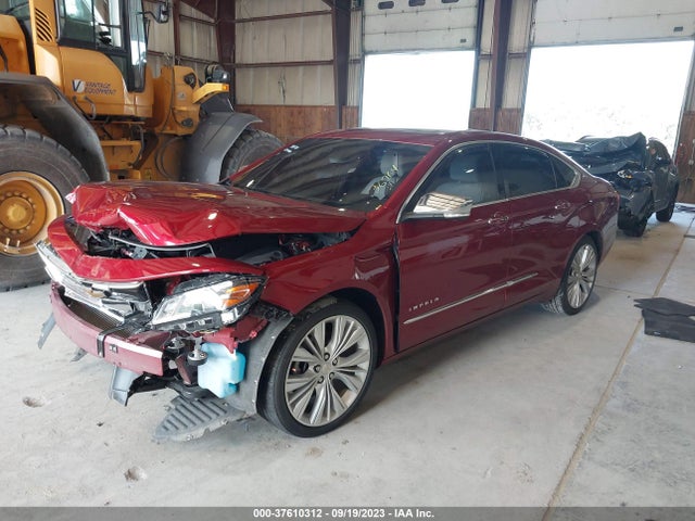 2019 CHEVROLET IMPALA PREMIER VIN: 1G1105S35KU101094