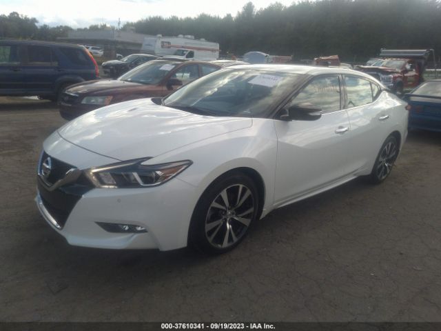 1N4AA6AP3HC432338 Nissan MAXIMA SV