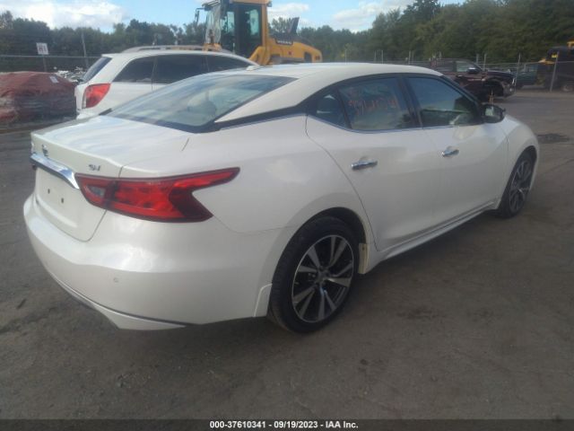 1N4AA6AP3HC432338 Nissan MAXIMA SV