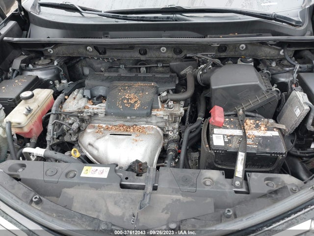 Toyota RAV4 LE 2018 JTMBFREV2JJ206402 Image 10
