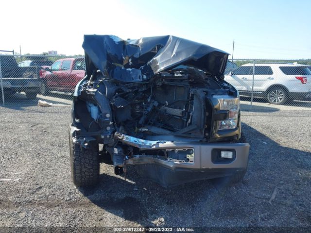 1FTEX1CP3FFA96065 Ford F-150 Xl/lariat/xlt
