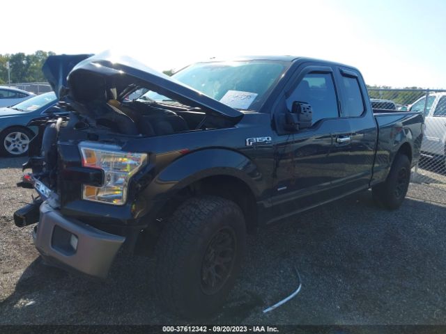 1FTEX1CP3FFA96065 Ford F-150 Xl/lariat/xlt
