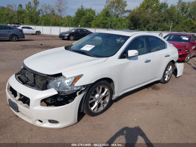 1N4AA5AP6EC488439 Nissan Maxima 3.5 Sv