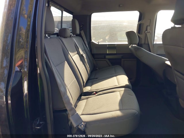 Ford F-150 Xlt 2016 1FTFW1EG3GKE59719 Image 8