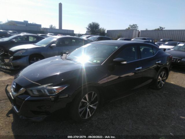 1N4AA6AP3HC451939 Nissan MAXIMA SL