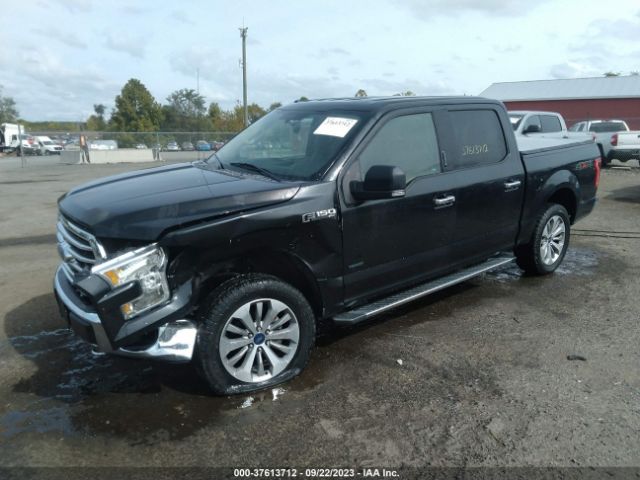 1FTEW1EG6FFC35153 Ford F-150 Xlt/xl/lariat/platinum