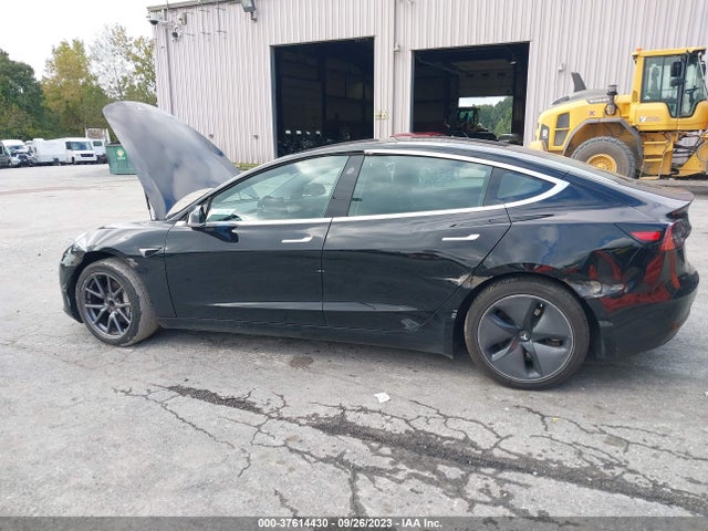 2019 Tesla 3, VIN: 5YJ3E1EA8KF313209