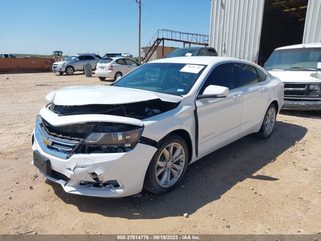 Chevrolet IMPALA LT 2019 2G11Z5S30K9116590 Image 2