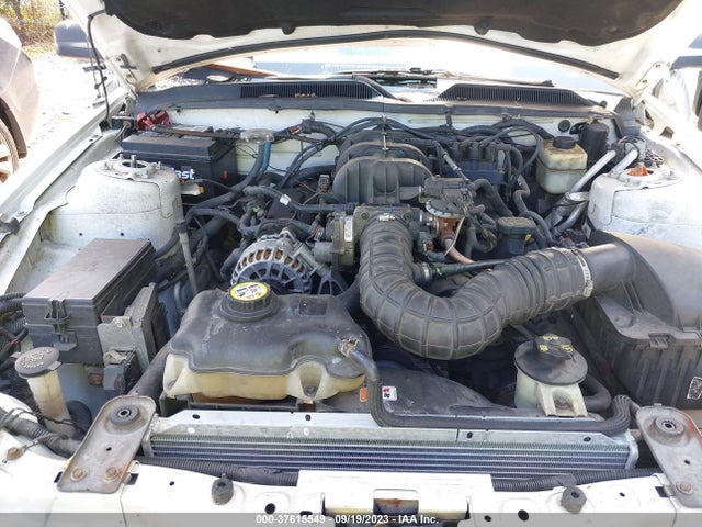 2007 FORD MUSTANG DELUXE/PREMIUM VIN: 1ZVFT80N575280861