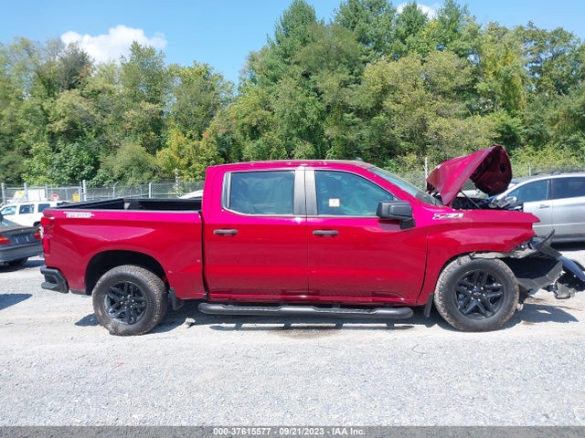 Chevrolet Silverado 1500 Custom Trail Boss 2020 3GCPYCEF3LG197008 Image 13