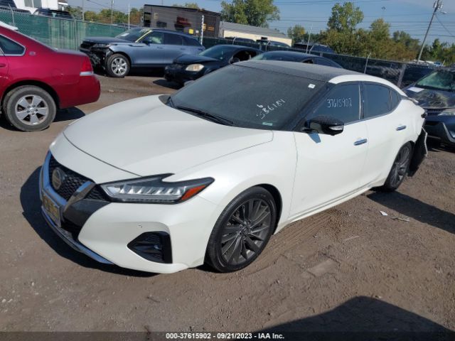 1N4AA6AV3KC366184 Nissan Maxima Platinum