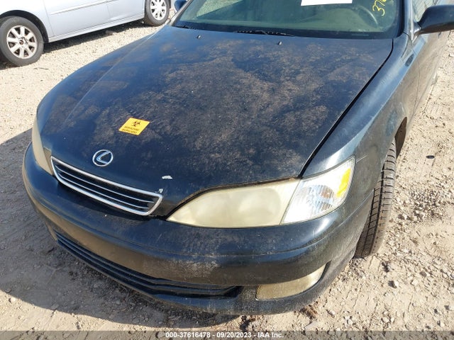 2001 LEXUS ES 300 VIN: JT8BF28G310304296
