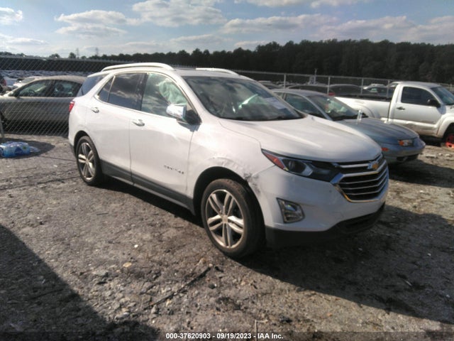 2018 2GNAXNEX1J6302772 главное изображение