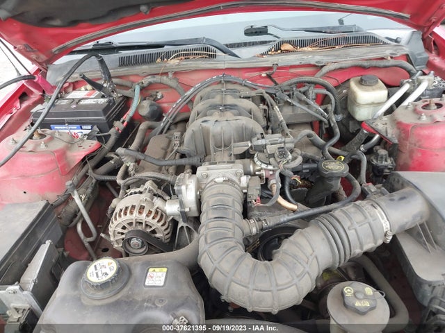 2006 FORD MUSTANG STANDARD/DELUXE/PREMIUM VIN: 1ZVHT80N465115617