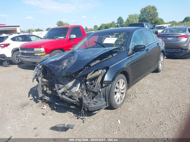 2011 HONDA ACCORD SDN EX VIN: 1HGCP2F7XBA009196