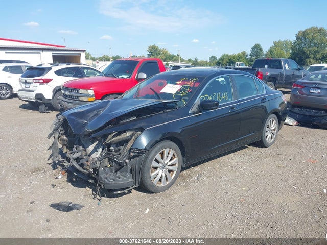 2011 HONDA ACCORD SDN EX VIN: 1HGCP2F7XBA009196