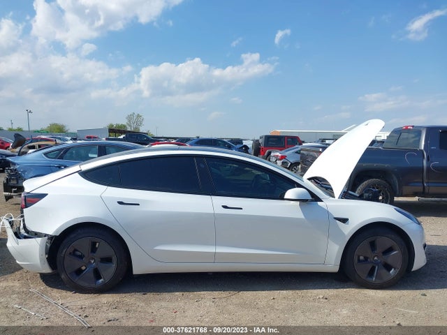 Tesla MODEL 3 2023 5YJ3E1EA3PF486157 Image 11