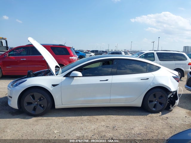 Tesla MODEL 3 2023 5YJ3E1EA3PF486157 Image 12