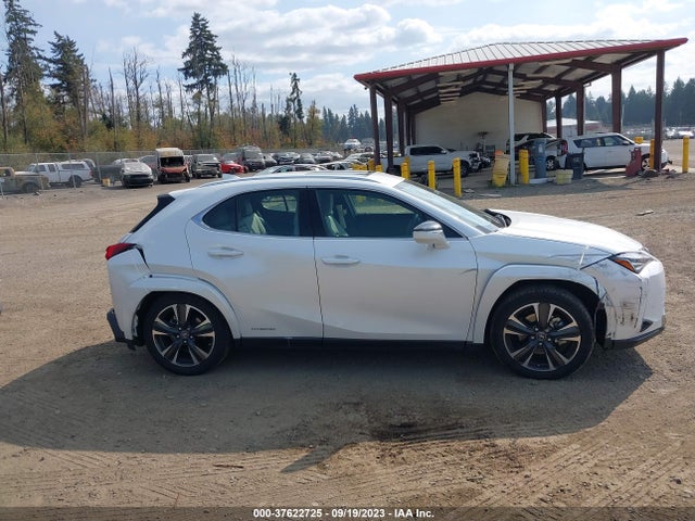 2022 Lexus UX, VIN: JTHP9JBH0N2062246