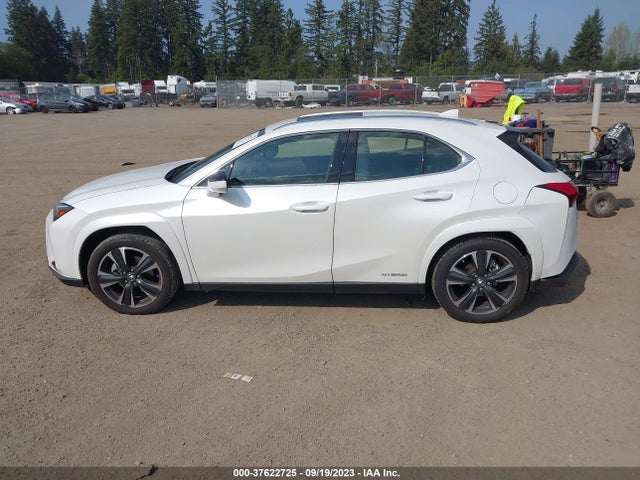 2022 Lexus UX, VIN: JTHP9JBH0N2062246