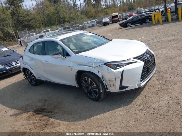 2022 Lexus UX, VIN: JTHP9JBH0N2062246