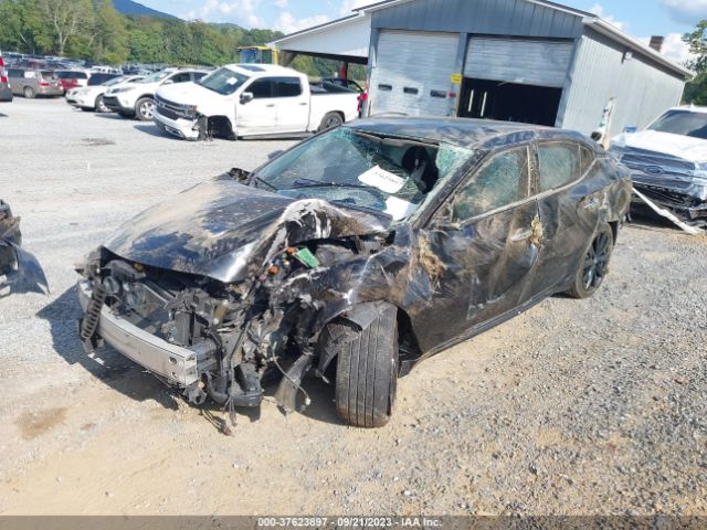 1N4AA6AP8GC409779 Nissan Maxima 3.5 Sr