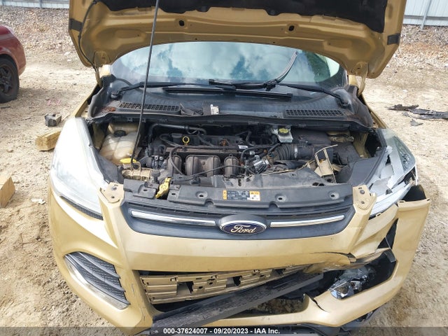 Ford ESCAPE SE 2015 1FMCU0G76FUB36442 Image 10
