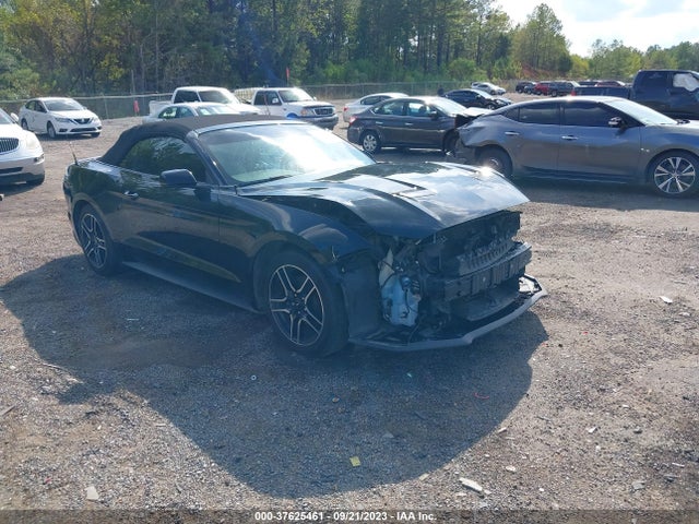 2019 1FATP8UH5K5141813 main image