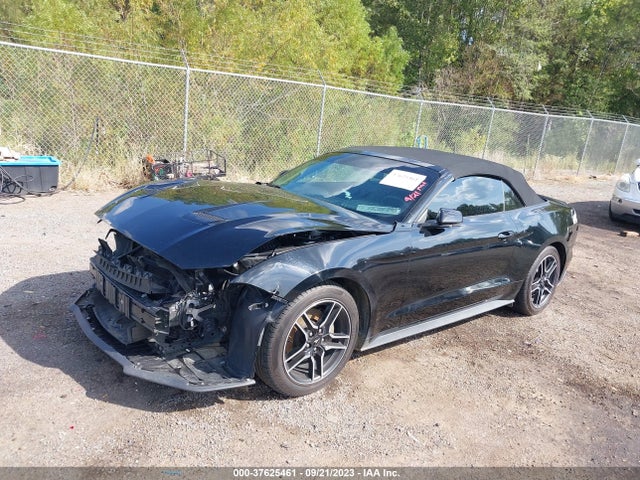 Ford Mustang Ecoboost 2019 1FATP8UH5K5141813 Image 2