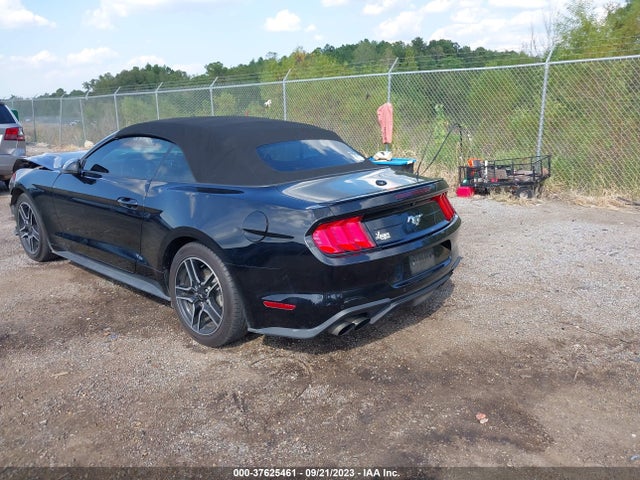 Ford Mustang Ecoboost 2019 1FATP8UH5K5141813 Image 3