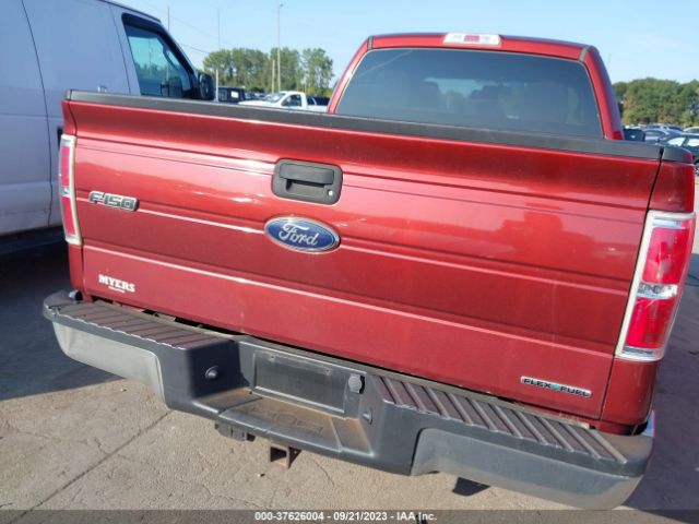 1FTEX1CM5EKE36649 Ford F-150 Xl/stx/xlt