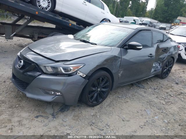 1N4AA6AP4HC452856 Nissan Maxima Sr
