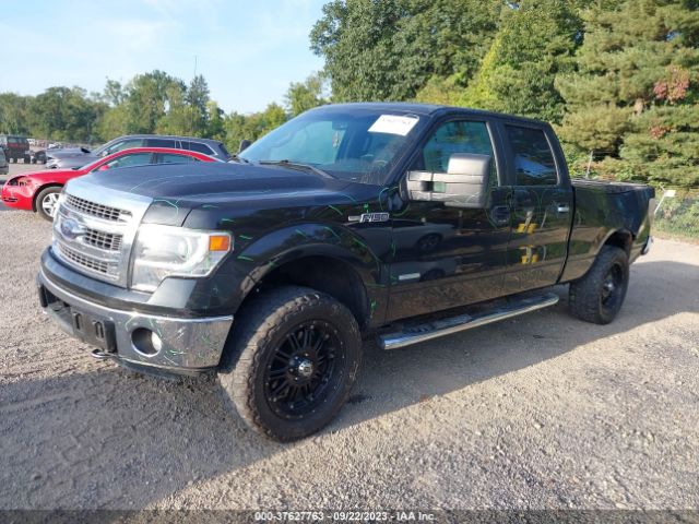 1FTFW1ET7EFB27480 Ford F-150 Xl/xlt/fx4/lariat