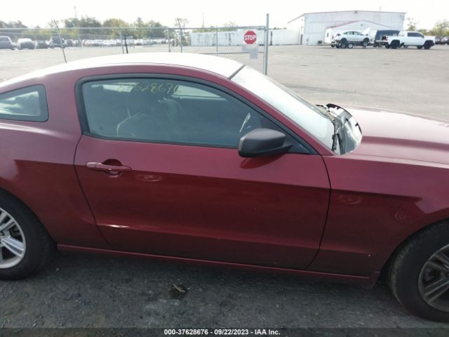 1ZVBP8AM3E5296093 Ford Mustang V6