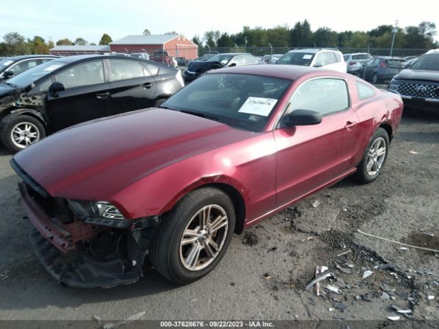 1ZVBP8AM3E5296093 Ford Mustang V6