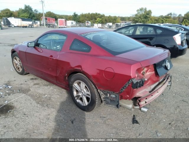 1ZVBP8AM3E5296093 Ford Mustang V6