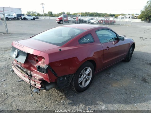 1ZVBP8AM3E5296093 Ford Mustang V6