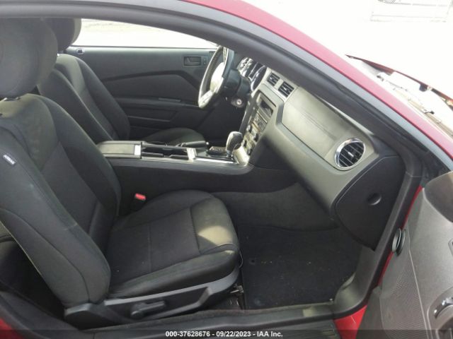 1ZVBP8AM3E5296093 Ford Mustang V6