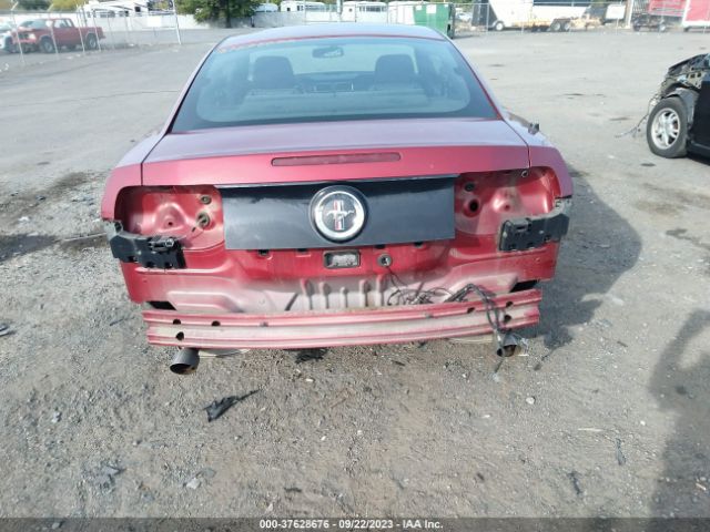 1ZVBP8AM3E5296093 Ford Mustang V6