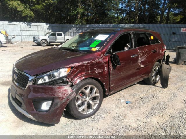5XYPKDA57JG423096 KIA Sorento Sx V6