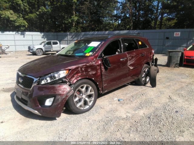 5XYPKDA57JG423096 KIA Sorento Sx V6