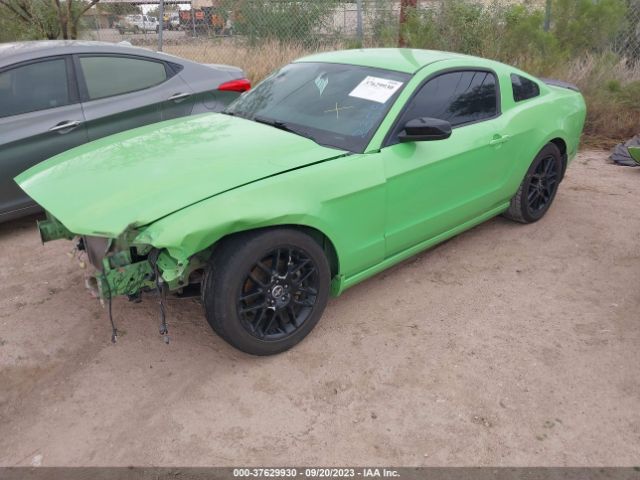 1ZVBP8AM2E5235530 Ford Mustang V6