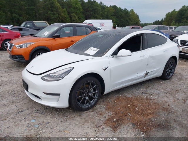 Tesla Model 3 Range 2019 5YJ3E1EA2KF447584 Image 2
