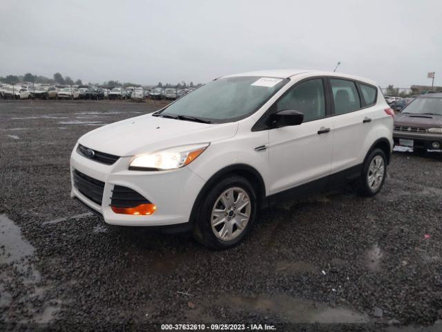 1FMCU0F73EUE01771 Ford ESCAPE S