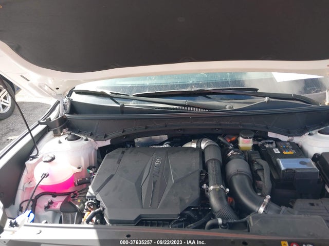 Hyundai Santa Cruz Limited 2023 5NTJEDAF2PH054088 Image 10