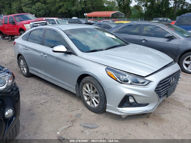 2019 5NPE24AFXKH810655 main image